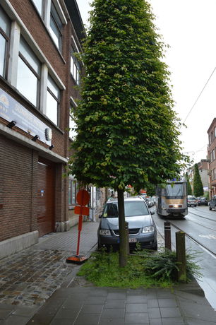 Imagen de la habitación del Hotel Sun Rise, Vorst / Forest. Foto 11