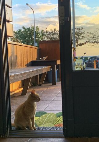 Imagen general del Hotel Sun Shune Pi Xiao Niuno Inn. Foto 5