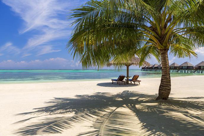 Imagen general del Hotel Sun Siyam Olhuveli. Foto 8