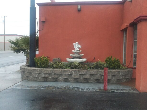 Imagen general del Hotel Sun Star Inn. Foto 13