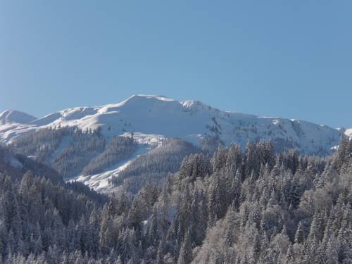 Imagen general del Hotel Sun Valley, Wildsch&ouml;nau. Foto 4