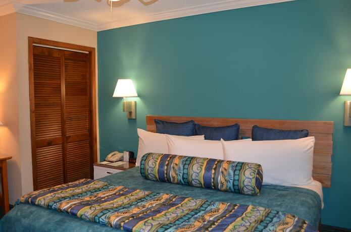 Imagen de la habitación del Hotel Sun Viking Lodge. Foto 17