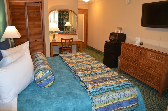 Imagen de la habitación del Hotel Sun Viking Lodge. Foto 20