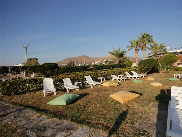 Imagen general del Hotel Sun and Sea Beach. Foto 5