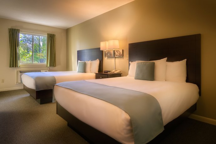 Imagen de la habitación del Hotel Sun and Ski Inn And Suites. Foto 12