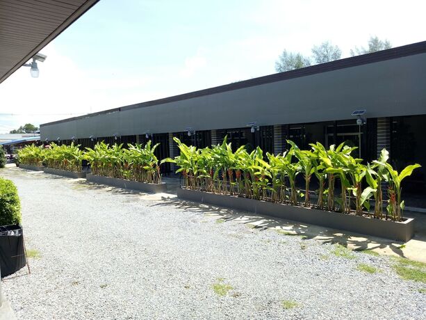 Imagen de los interiores del Hotel Sun at Sea. Foto 20