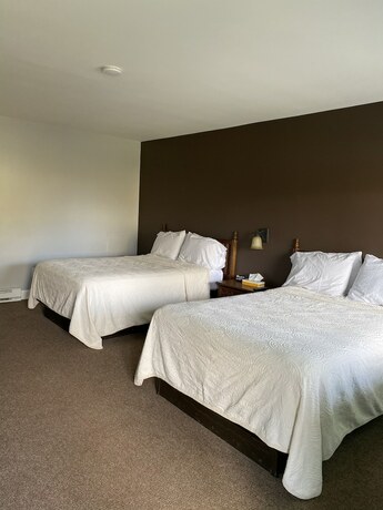 Imagen de la habitación del Hotel SunView Motel. Foto 18