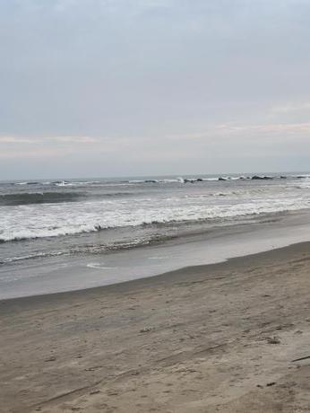 Imagen general del Hotel Sunbliss by the sea. Foto 2