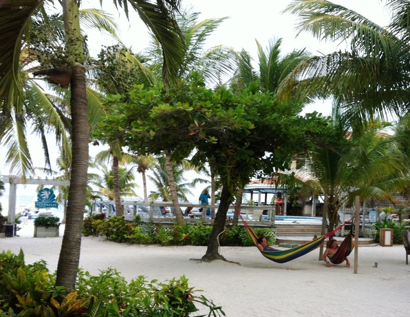 Imagen de los exteriores del Hotel Sunbreeze. Foto 6