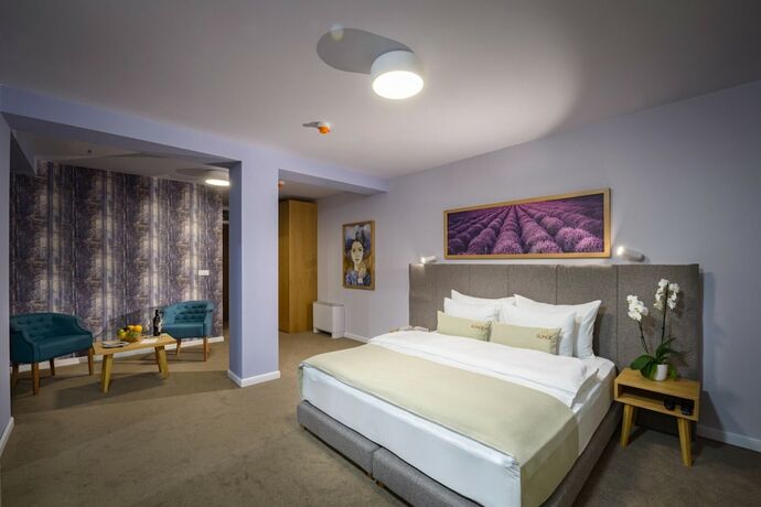 Imagen de la habitación del Hotel Sunce, Sokobanja Municipality. Foto 18