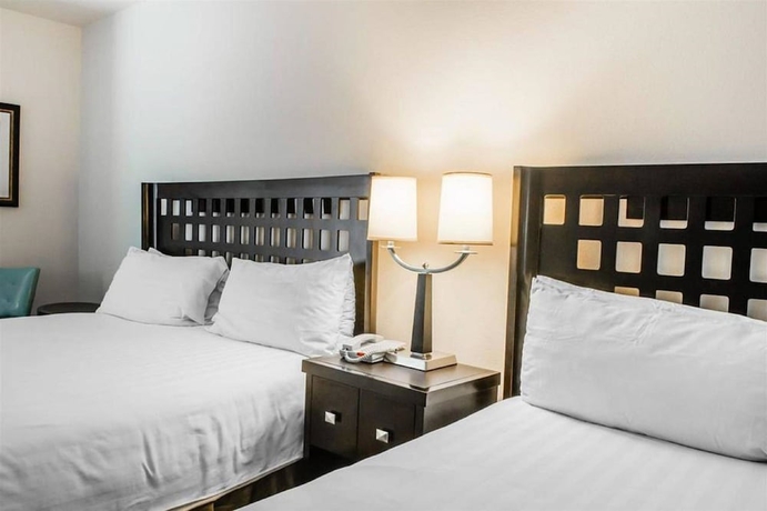 Imagen de la habitación del Hotel Sunchase Inn and Suites. Foto 3