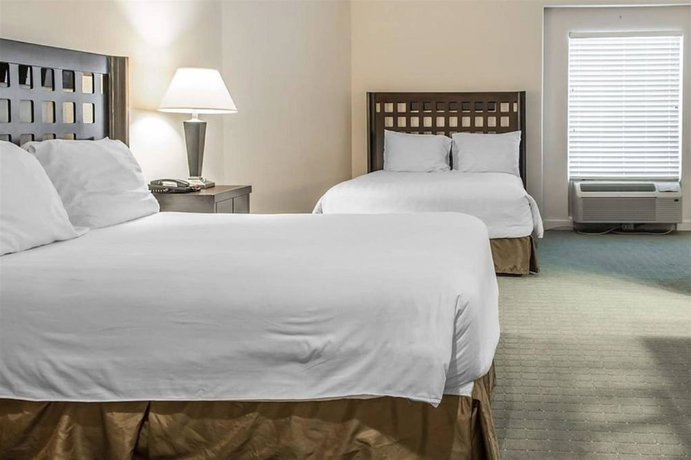 Imagen de la habitación del Hotel Sunchase Inn and Suites. Foto 10