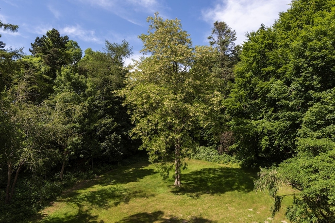 Imagen general del Hotel Sunday Resort R&uuml;gen. Foto 2