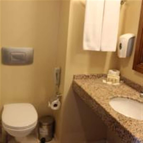 Imagen de la habitación del Hotel Sunis Elita Beach Resort and Spa - All Inclusive. Foto 14