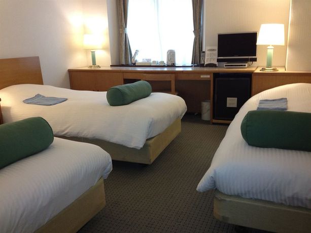 Imagen de la habitación del Hotel Sunlite Shinjuku. Foto 8