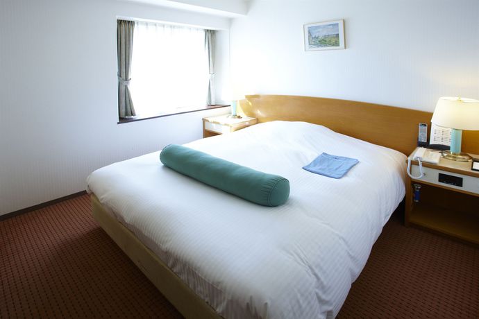 Imagen de la habitación del Hotel Sunlite Shinjuku. Foto 9