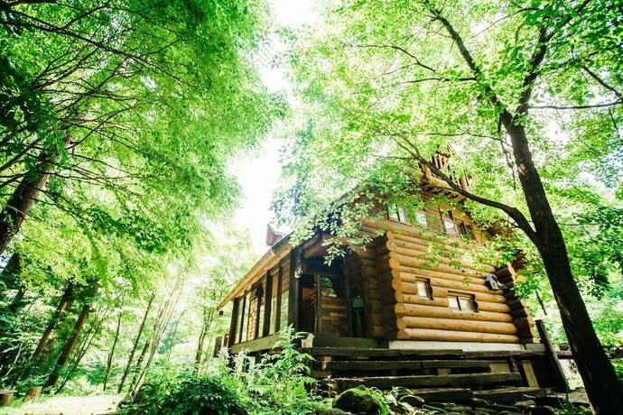 Imagen general del Hotel Sunnsnow Log House. Foto 5