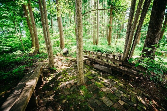 Imagen de los exteriores del Hotel Sunnsnow Log House. Foto 24