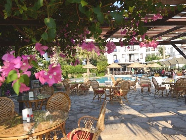 Imagen general del Hotel Sunny Garden Nilufer. Foto 10