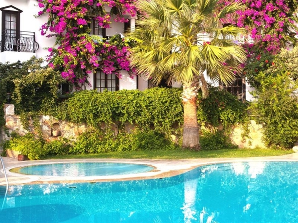 Imagen general del Hotel Sunny Garden Nilufer. Foto 15