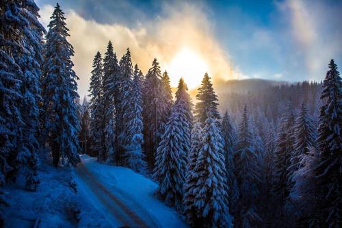 Imagen general del Hotel Sunny Hills Ski&Wellness. Foto 3