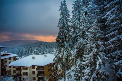 Imagen general del Hotel Sunny Hills Ski&Wellness. Foto 10