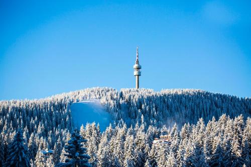 Imagen general del Hotel Sunny Hills Ski&Wellness. Foto 11