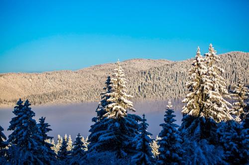 Imagen general del Hotel Sunny Hills Ski&Wellness. Foto 12