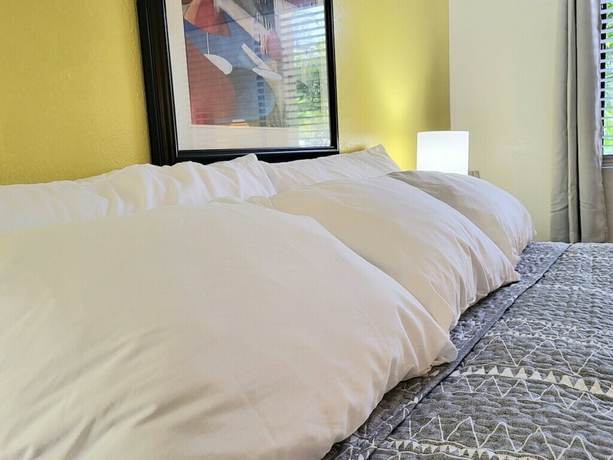 Imagen de la habitación del Hotel Sunny Palms Inn. Foto 5