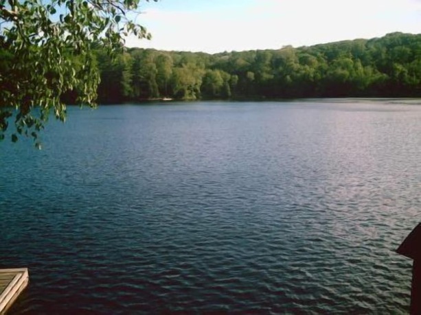 Imagen de los exteriores del Hotel Sunny Point Resort Cottages and Inn. Foto 17