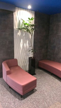 Imagen de los interiores del Hotel Sunplaza. Foto 20