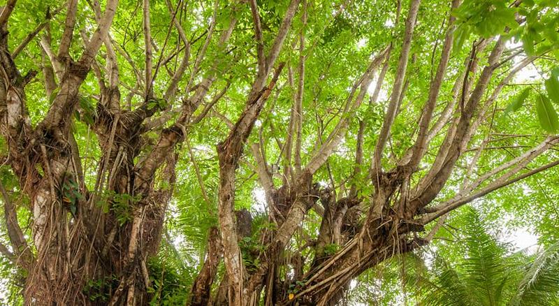 Imagen general del Hotel Sunrise Beach Hotel. Foto 2