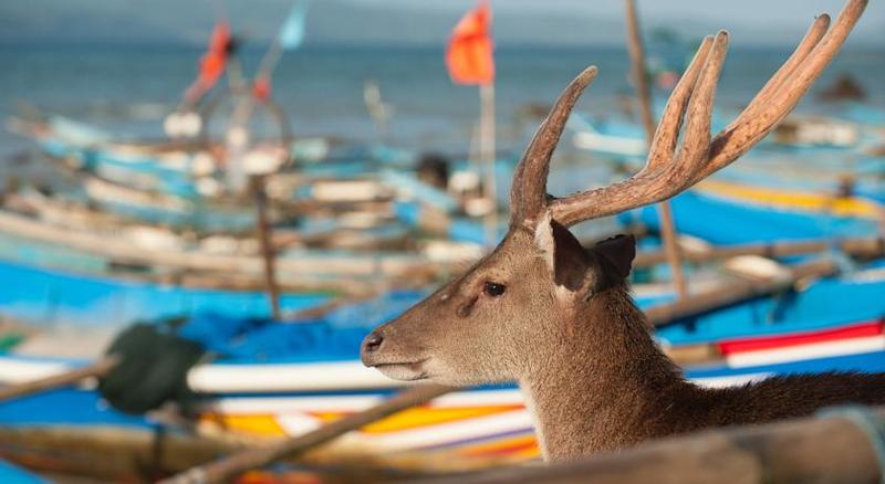 Imagen general del Hotel Sunrise Beach Hotel. Foto 9