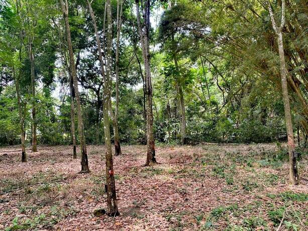 Imagen general del Hotel Sunrise Guamal. Foto 12