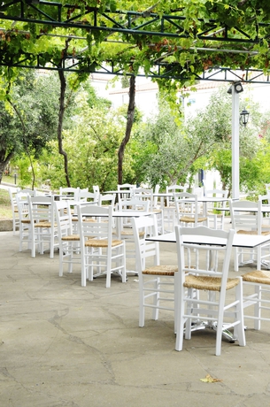 Imagen de los exteriores del Hotel Sunrise Village Beach. Foto 10