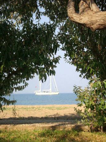 Imagen general del Hotel Sunset Dikili. Foto 26