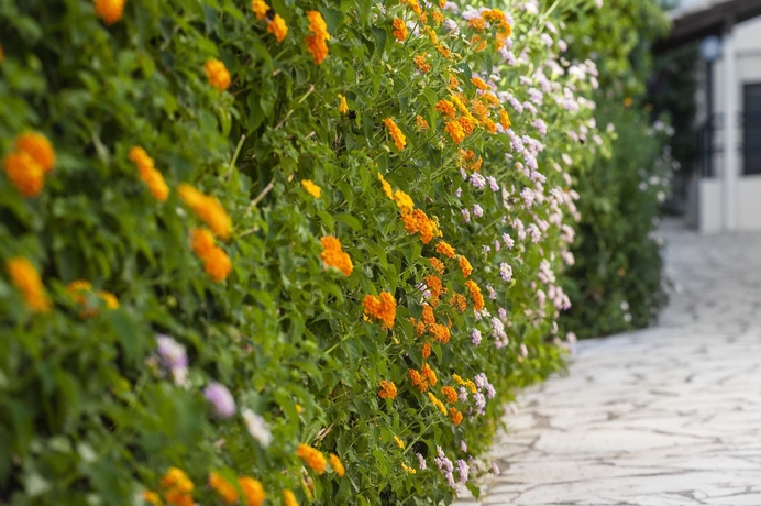 Imagen general del Hotel Sunshine Corfu and Spa All Inclusive. Foto 3