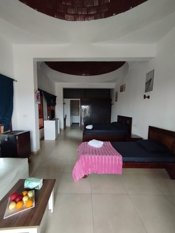 Imagen de la habitación del Hotel Sunshine Divers Club and Home. Foto 5