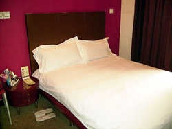 Imagen de la habitación del Hotel Sunshine International Plaza. Foto 4