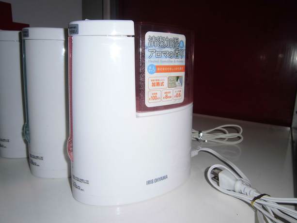 Imagen de los interiores del Hotel Sunshine, Shingu. Foto 10