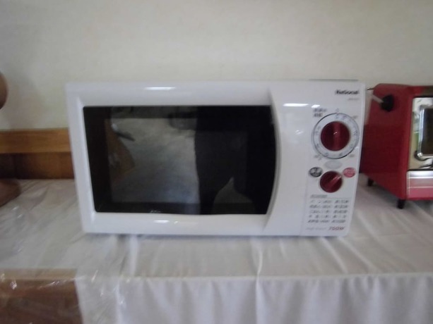 Imagen de los interiores del Hotel Sunshine, Shingu. Foto 13