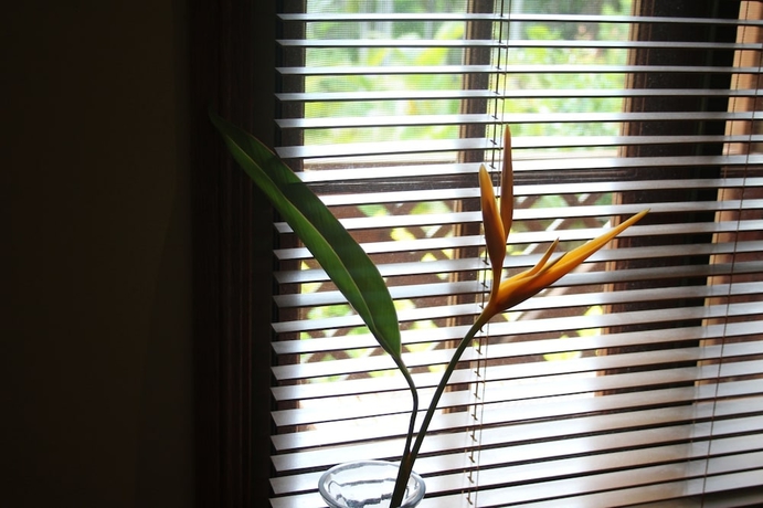 Imagen de la habitación del Hotel Sunshine Valley Cottages. Foto 6