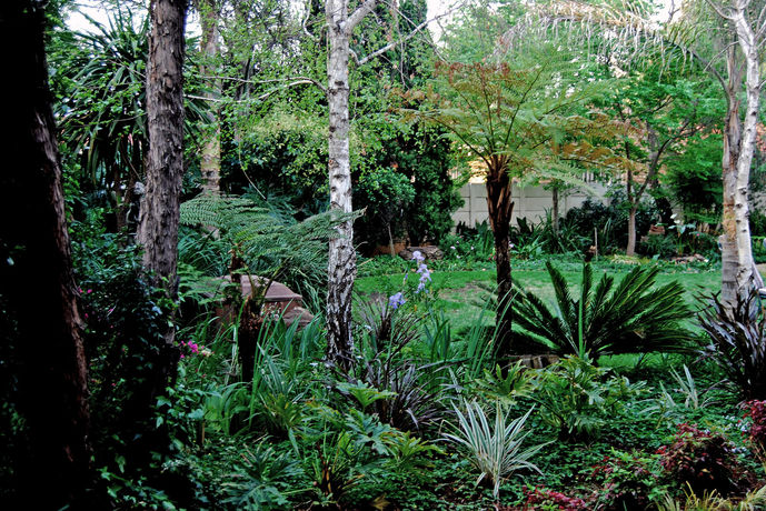 Imagen de los interiores del Hotel Sunward Park Guesthouse. Foto 15