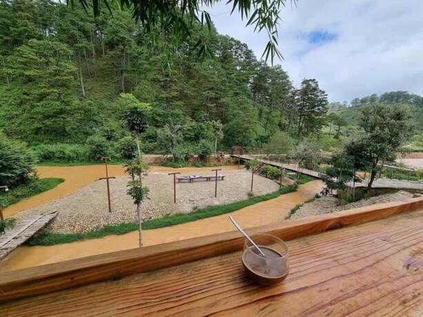 Imagen general del Hotel Suoi Thong Dalat - Cottage Resort. Foto 8