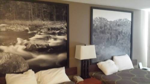 Imagen de la habitación del Hotel Super 8 By Wyndham Abingdon Va, Abingdon. Foto 10