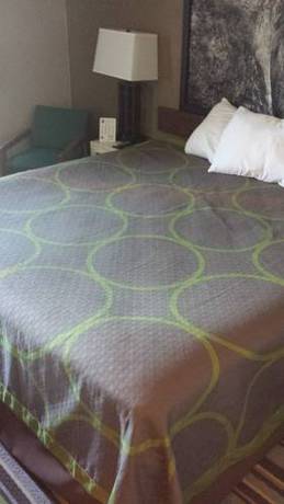 Imagen de la habitación del Hotel Super 8 By Wyndham Abingdon Va, Abingdon. Foto 11