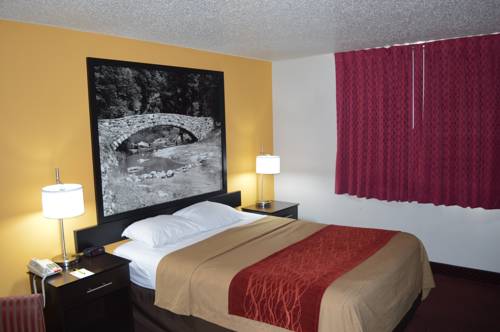 Imagen de la habitación del Hotel Super 8 By Wyndham Ames. Foto 5