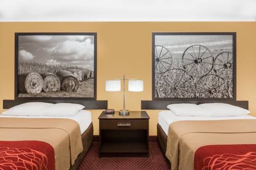 Imagen de la habitación del Hotel Super 8 By Wyndham Ames. Foto 6