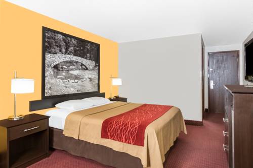 Imagen de la habitación del Hotel Super 8 By Wyndham Ames. Foto 10