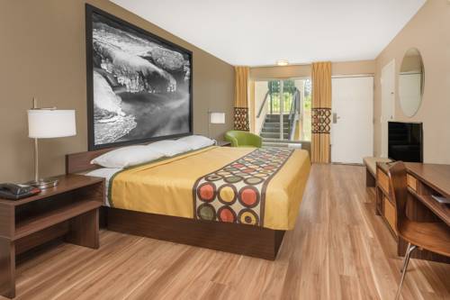 Imagen de la habitación del Hotel Super 8 By Wyndham Asheville Airport. Foto 4